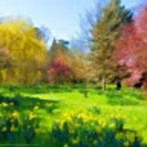 Meet your Posher, Kenya